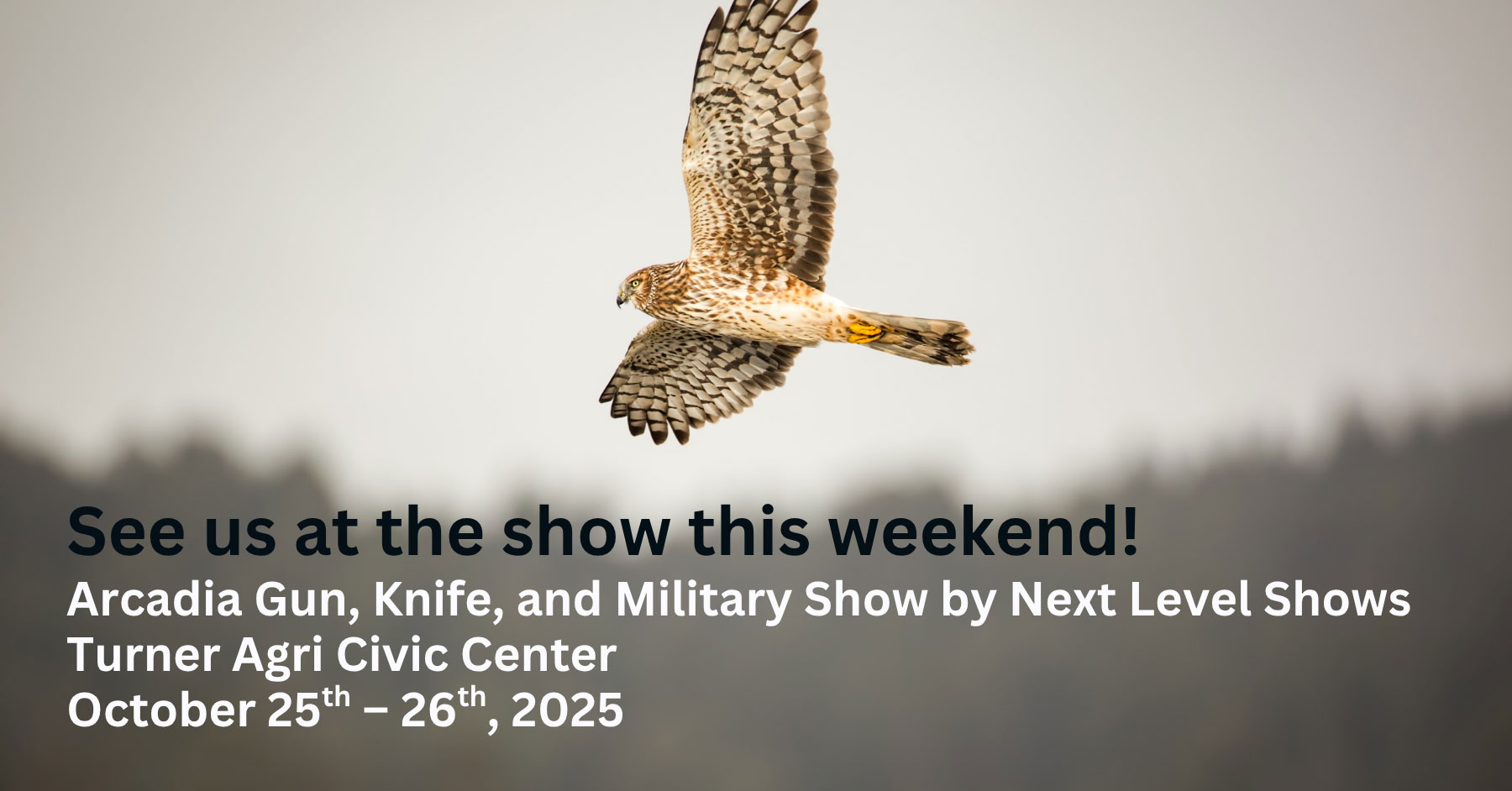 BDW---See-Us-at-the-Show---10-25-25---Arcadia-Gun,-Knife,-and-Military-Show-by-Next-Level-Shows