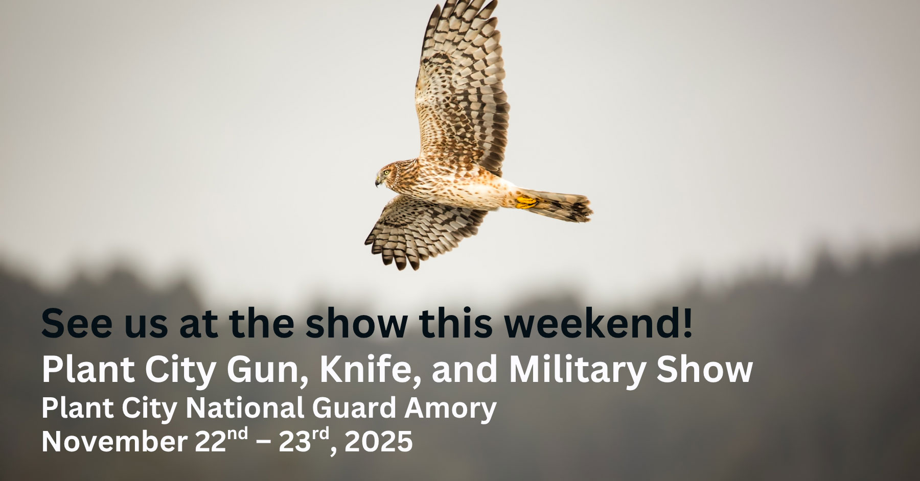 BDW---See-Us-at-the-Show---11-22-25---Plant-City-Gun,-Knife,-and-Military-Show-by-Next-Level-Shows