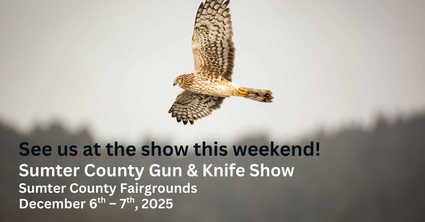 BDW---See-Us-at-the-Show---12-06-25---Sumter-County-Gun-&-Knife-Show-by-Next-Level-Shows