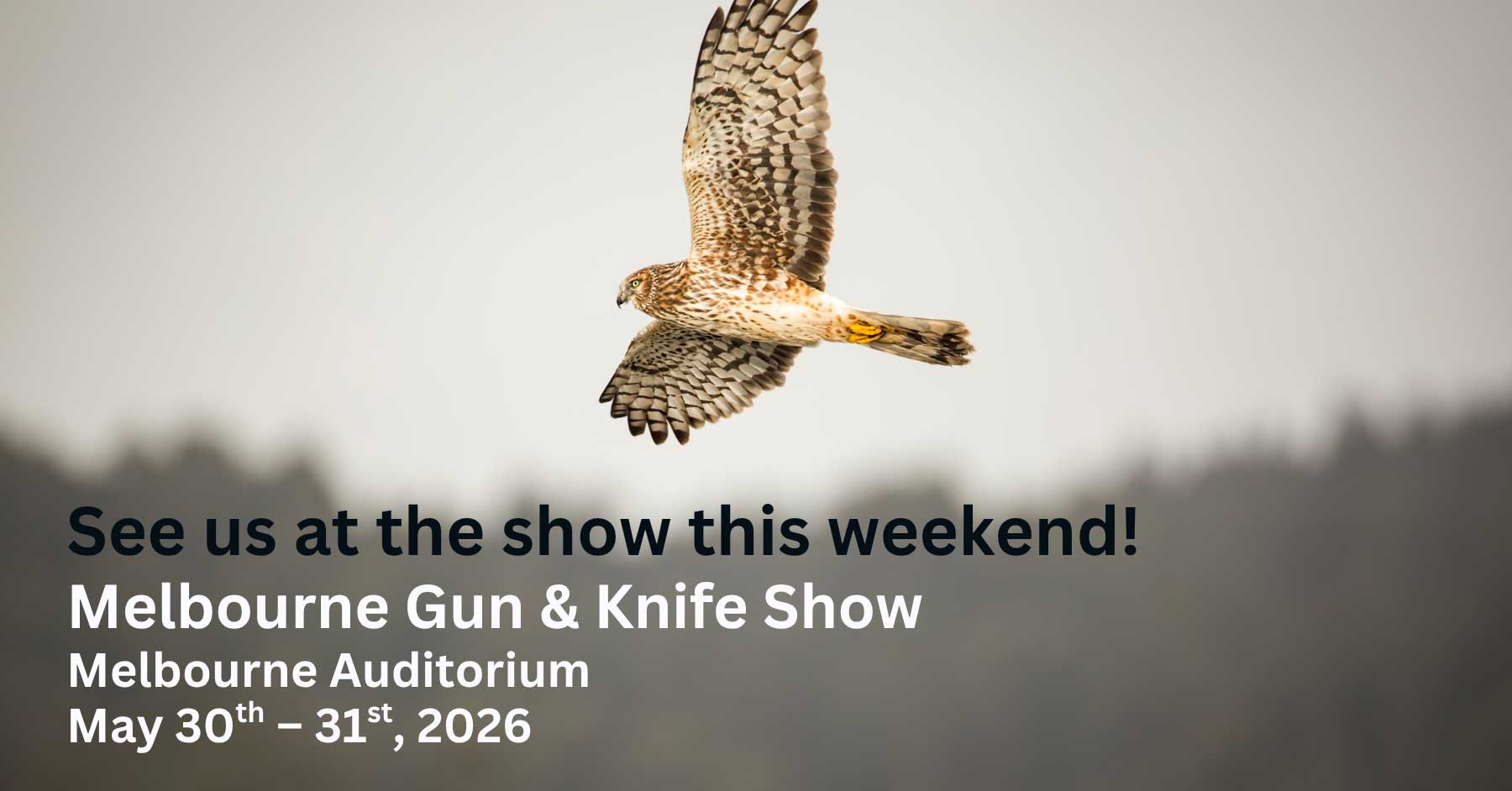 BDW---See-Us-at-the-Show---05-30-26---Melbourne-Gun-&-Knife-Show-by-Sport-Show-Specialist